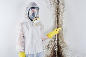 Best Black Mold Removal  in Kdeer, IL